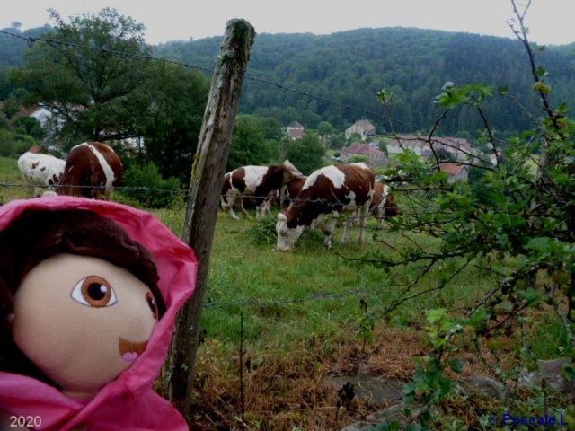 Gite Rural Les Maires D'Avaux Saint-Bresson Eksteriør bilde