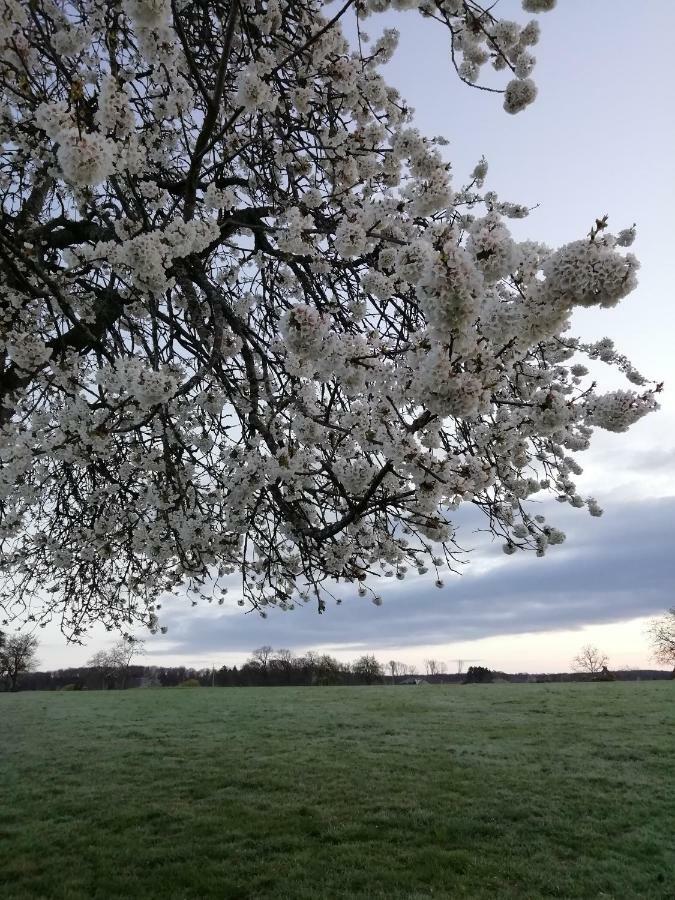 Gite Rural Les Maires D'Avaux Saint-Bresson Eksteriør bilde